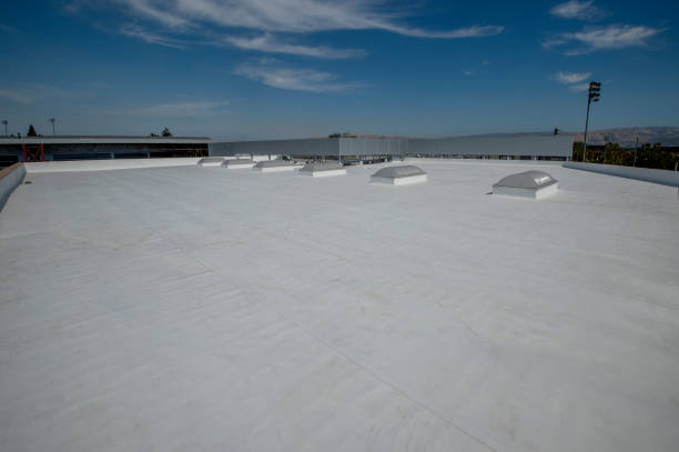 Best Roof Coating and Sealing  in Kasson, MN