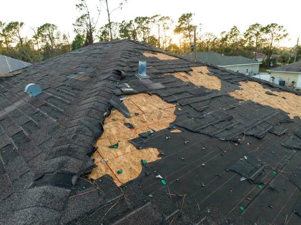Best Asphalt Shingle Roofing  in Kasson, MN
