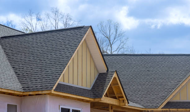 Best Sheet Metal Roofing  in Kasson, MN