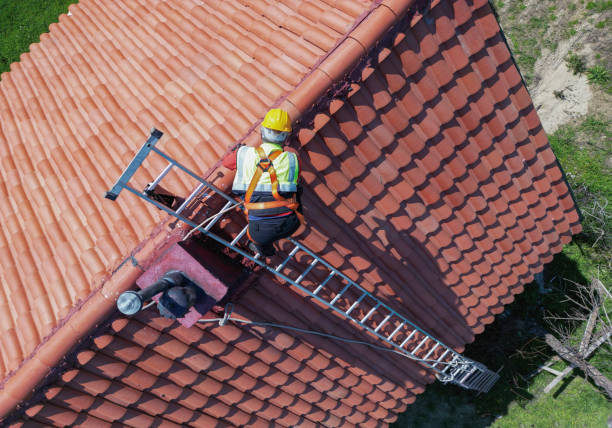 Best Asphalt Shingles Roofing  in Kasson, MN